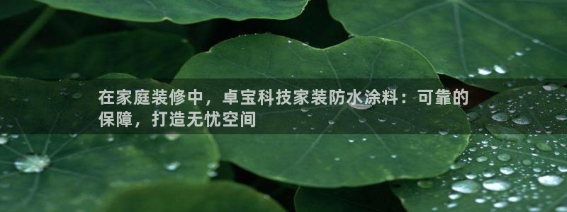 和记官方直营：在家庭装修中，卓宝科技家装防水涂料：可靠的
保障，打造无忧空间