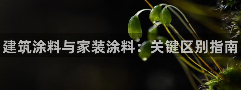 和记网页版登陆