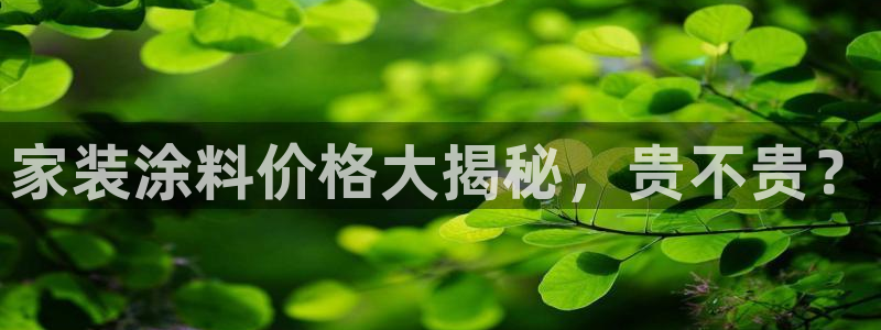 和记 官网：家装涂料价格大揭秘，贵不贵？